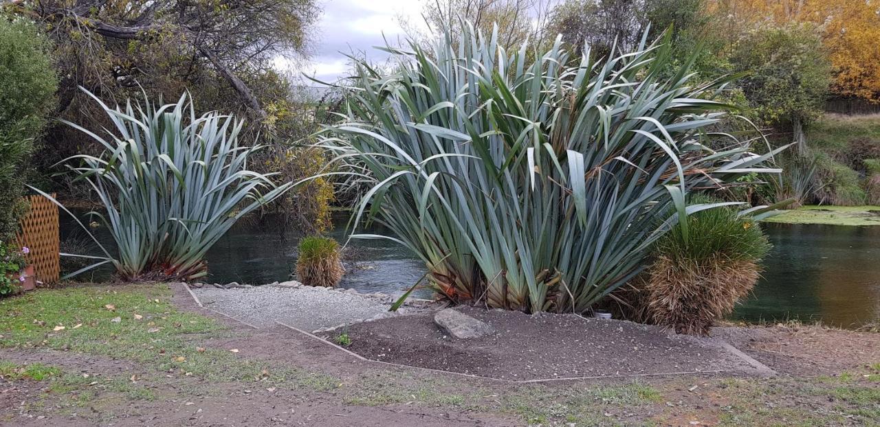 Spring Creek Holiday Park Blenheim Exterior foto